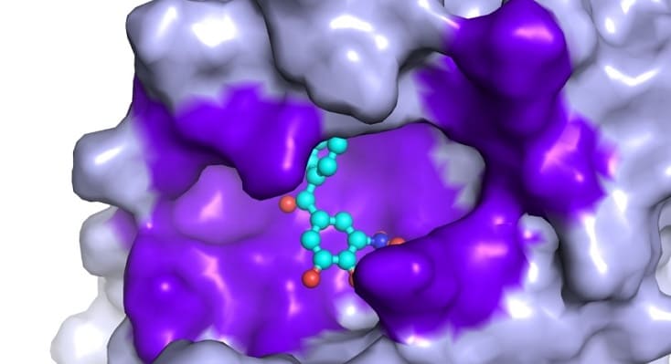 coronavirus farmaco brasil