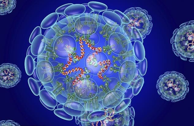 estrutura coronavirus
