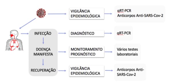 laboratorio coronavirus
