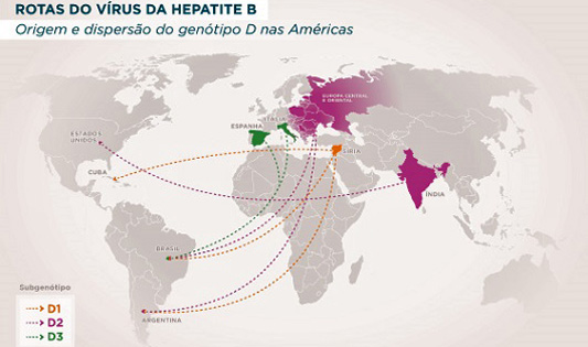 rota hepatite c
